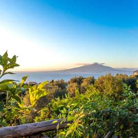 SORRENTO: Esperienza di dopocena con produzione di limoncello al tramonto