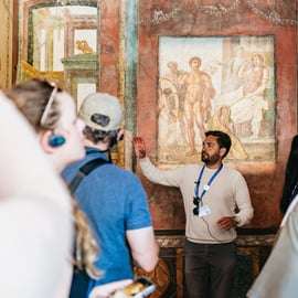 Pompei: Tour esclusivo con archeologo e biglietti d'ingresso