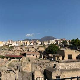 Ercolano: ingresso e tour con un archeologo del posto