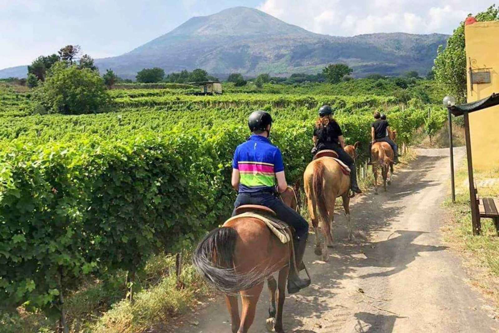 Da Pompei: Tour a cavallo del Vesuvio
