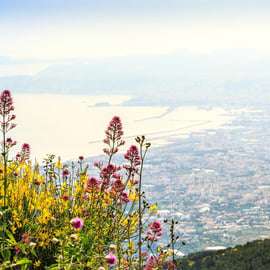Pompei: Biglietto d'ingresso al parco del Vesuvio e trasferimento