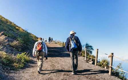 Da Pompei: Vesuvius Easy Tour Transfer