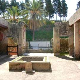 Ercolano con una guida archeologica e un biglietto