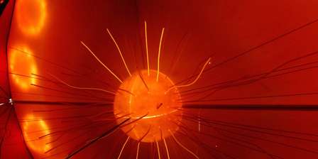 Museo di Fisica – Centro Musei Scienze Naturali