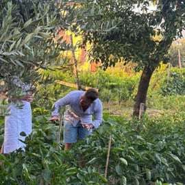 Corso di cucina a Sorrento nel giardino di O' Masto