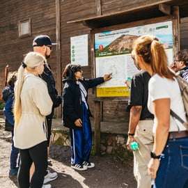 Napoli: Pompei e il Vesuvio con pranzo e degustazione di vino