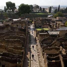 Tour privato guidato di Ercolano di 2 ore