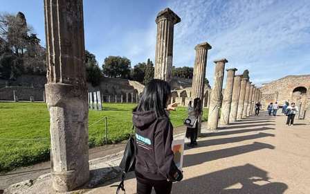 Da Sorrento: Tour di un giorno alle rovine di Pompei e al Vesuvio