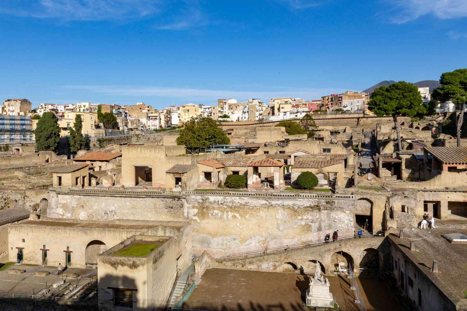 Da Napoli: Ercolano salta la fila - Tour condiviso