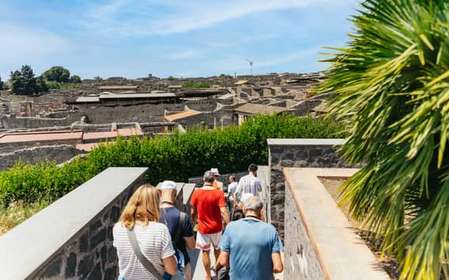 Da Napoli: Tour di un giorno delle rovine di Pompei e del Vesuvio