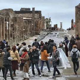 Pompei e Vesuvio: Smart Tour da Napoli con biglietti