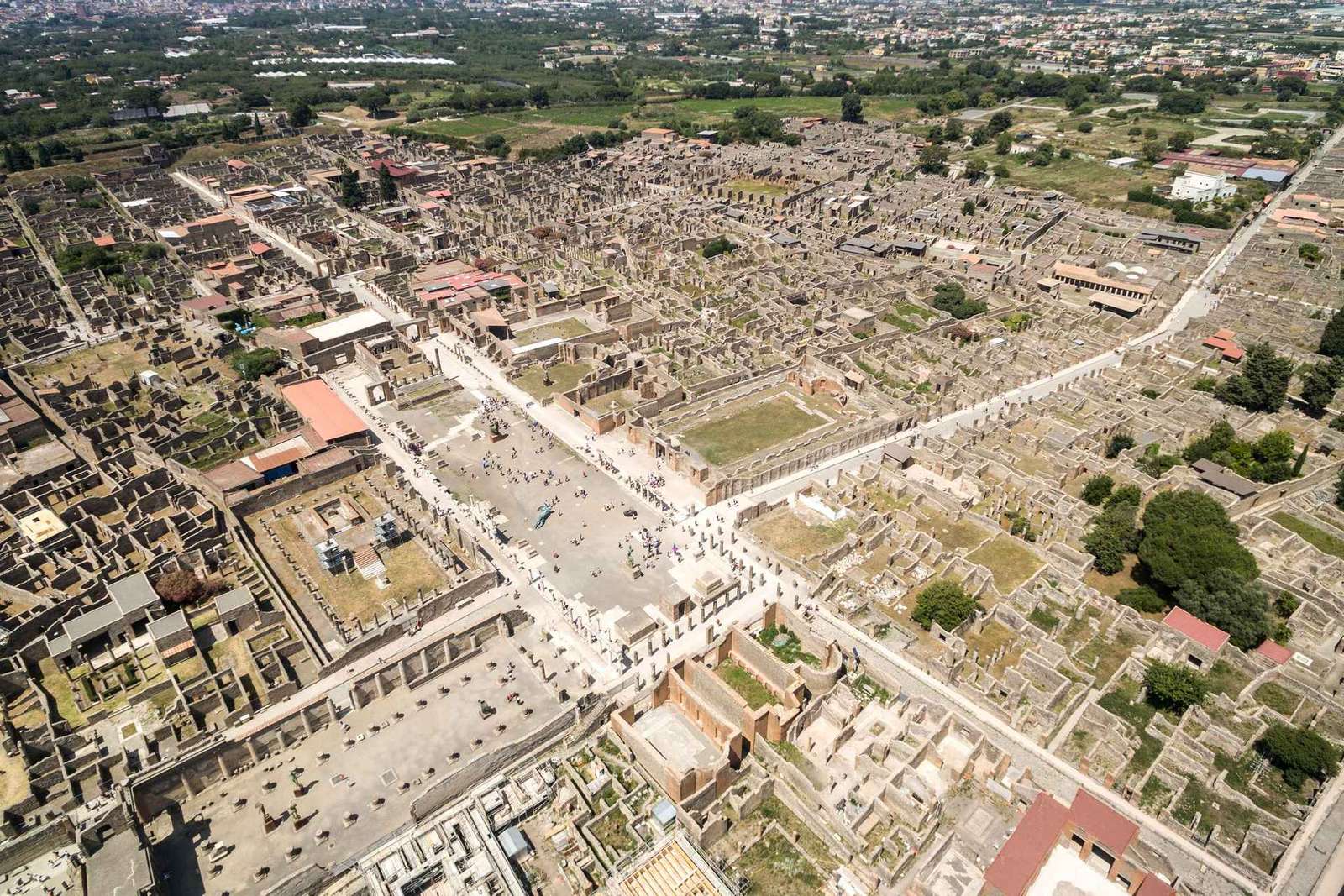 Da Napoli: Tour di Pompei ed Ercolano
