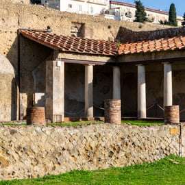 Da Napoli: Ercolano salta la fila - Tour condiviso