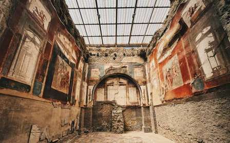 Tour guidato di Ercolano da Napoli con guida privata e minivan