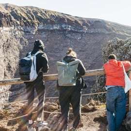 Pompei: Biglietto d'ingresso al parco del Vesuvio e trasferimento