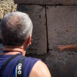 Tour guidato di Ercolano da Napoli con guida privata e minivan