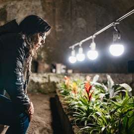 Napoli Sotterranea tour guidato: acquedotto e teatro romano