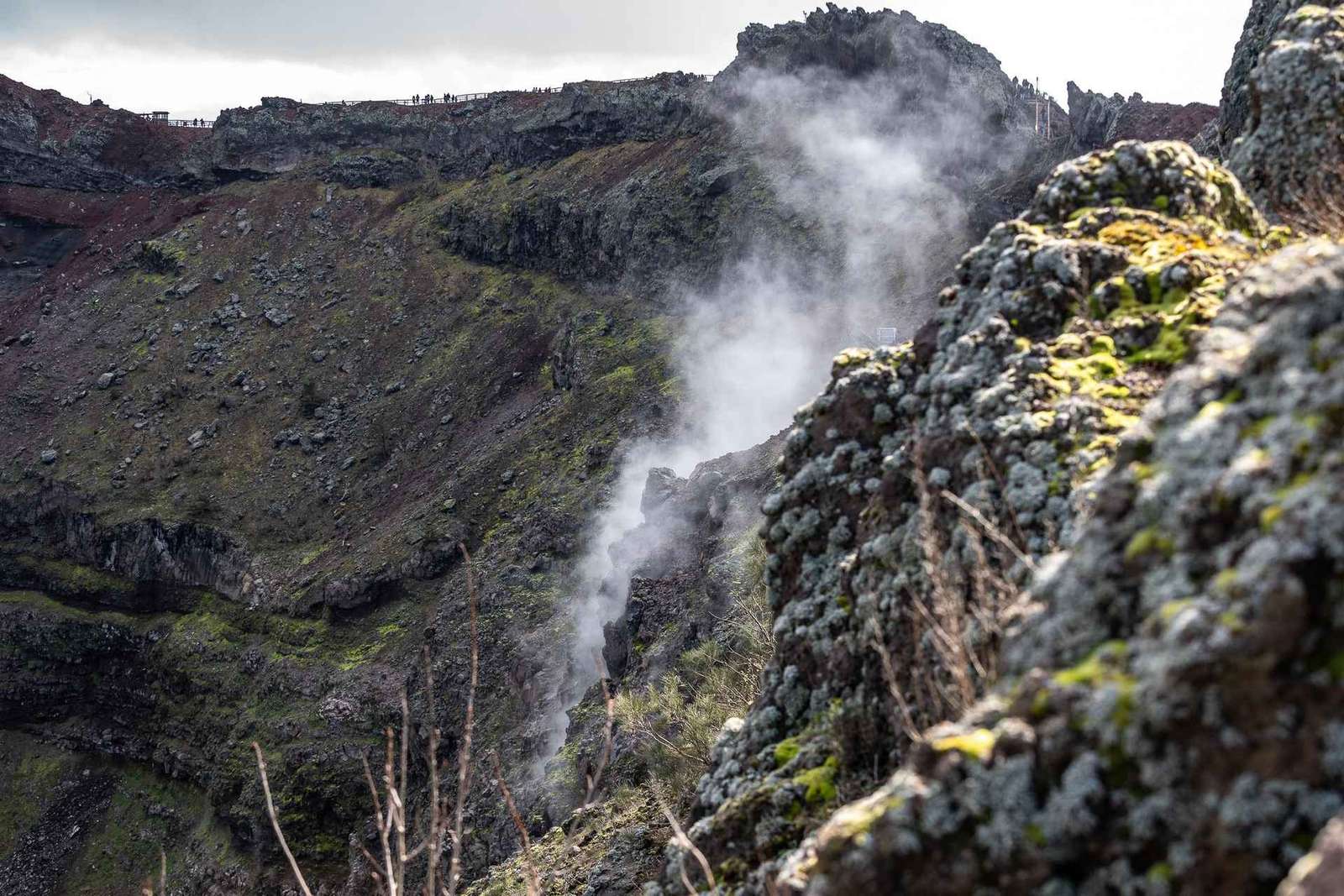 Vesuvio e Pompei da Napoli in un giorno, con pizza