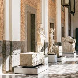 Napoli: Tour guidato del Museo Archeologico Nazionale di Napoli