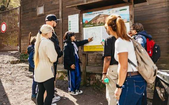 Napoli: Pompei e il Vesuvio con pranzo e degustazione di vino