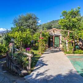 SORRENTO: Esperienza di dopocena con produzione di limoncello al tramonto